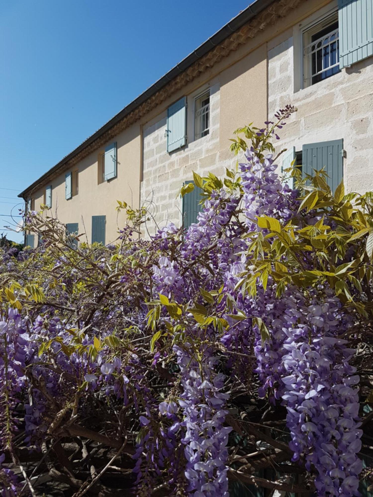 Logis Hotel Restaurant La Ferme Avignon Exterior photo